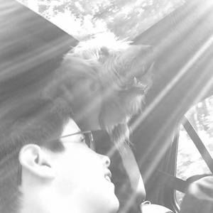 Meet your Posher, Patrick